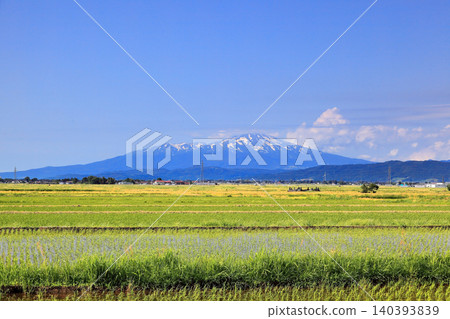 Rice paddy scenery of the Shonai Plain in June Rice paddy scenery of the Shonai Plain in June 140393839