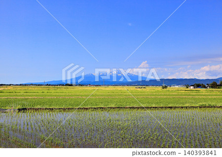 Rice paddy scenery of the Shonai Plain in June Rice paddy scenery of the Shonai Plain in June 140393841