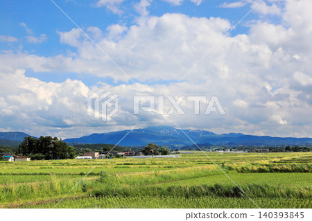 Rice paddy scenery of the Shonai Plain in June Rice paddy scenery of the Shonai Plain in June 140393845