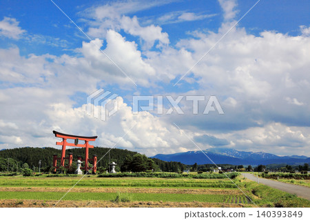 六月莊內平原的稻田景色 六月莊內平原的稻田景色 140393849