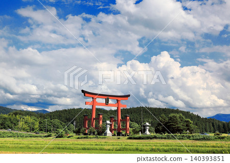 Rice paddy scenery of the Shonai Plain in June 140393851