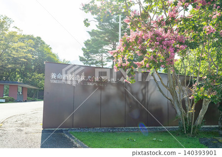 [Komagane City, Nagano Prefecture] Kurasuwa no Mori Yomeishu Manufacturing Plant - Entrance Exterior 140393901