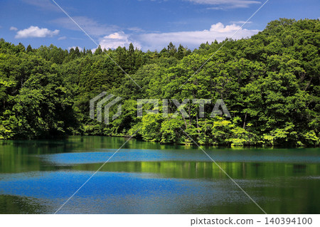 有池塘的公園 140394100