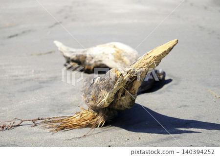 漂流木發射到海岸 漂流木發射到海岸 140394252