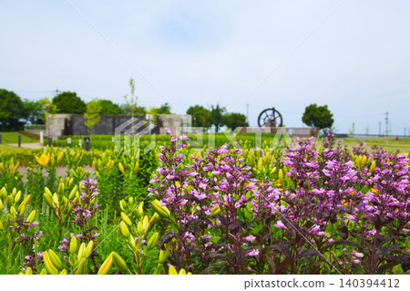 Lilies have begun to bloom at "Yuri no Sato Park" 140394412