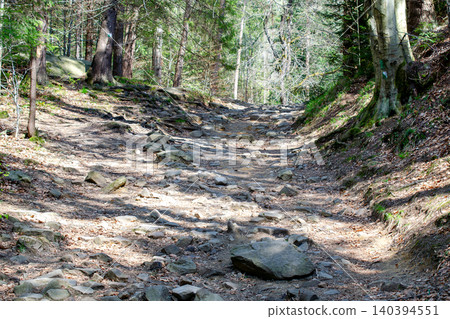 Forest hiking trail with rocks and sunlight nature exploration and outdoor adventure woodland path for trekking and ecotourism. Forest hiking trail with rocks and sunlight nature exploration and outdoor adventure woodland path for trekking and ecotourism. 140394551