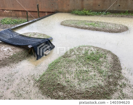 Flooded backyard vegetable garden during heavy rainfall 140394620