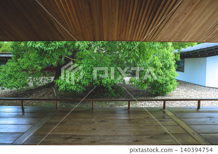 April 25 2026 Ueno Toshogu Shrine Garden Courtyard With Ancient Tree April 25 2026 Ueno Toshogu Shrine Garden Courtyard With Ancient Tree 140394754