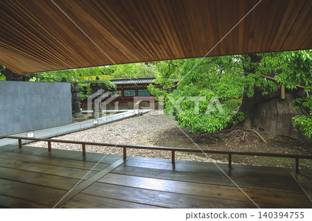 April 25 2026 Ueno Toshogu Shrine Garden Courtyard With Ancient Tree April 25 2026 Ueno Toshogu Shrine Garden Courtyard With Ancient Tree 140394755