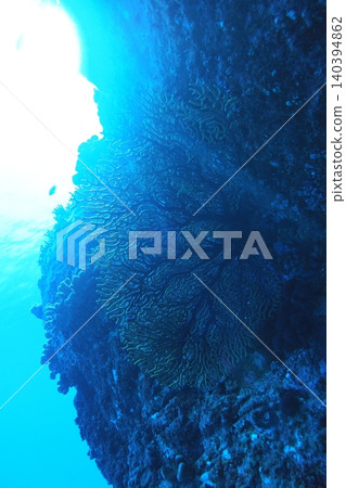 水下視角下的天空-水下攝影 水下視角下的天空-水下攝影 140394862