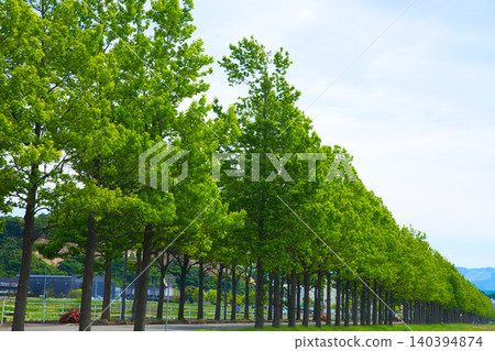 小山羊們在迷你農場裡快樂地奔跑玩耍。 小山羊們在迷你農場裡快樂地奔跑玩耍。 140394874