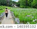 Akabori Japanese Iris Garden 140395102