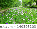 Akabori Japanese Iris Garden 140395103
