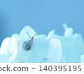 蝸牛與繡球花 140395195
