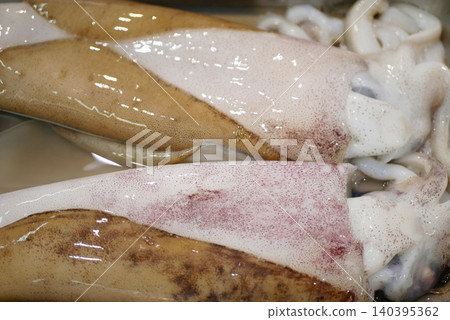 Squid cephalopods squirts ocean sea fresh mollusc raw variety tentacles seafood display container freezer shelves shelf in supermarket market stall buying eat food camouflage squirting ink raw food 140395362