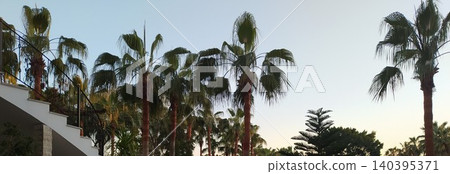 Palm trees in Turkey - Alanya - exotic plants Palm trees in Turkey - Alanya - exotic plants 140395371