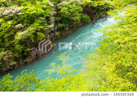 Beautiful clear stream with fresh greenery 140395389