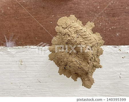 Close-up Fresh Mud Dauber Wasp Nest on White Painted Wall Close-up Fresh Mud Dauber Wasp Nest on White Painted Wall 140395399