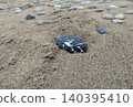 Pebbles on the sand near the sea 140395410