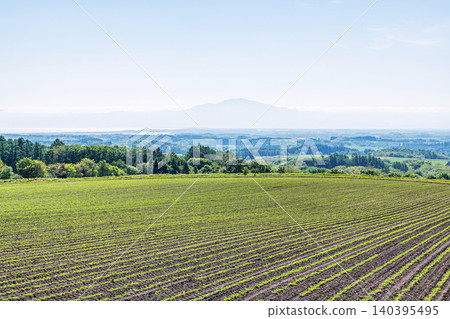 Cleared farmland (agricultural image) Cleared farmland (agricultural image) 140395495