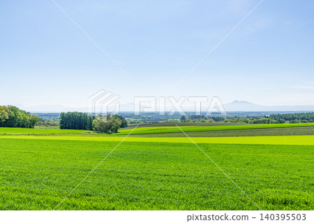 Cleared farmland (agricultural image) 140395503