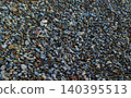Sea jack and pebbles on the seashore 140395513