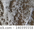 Sea foam on the seashore 140395558