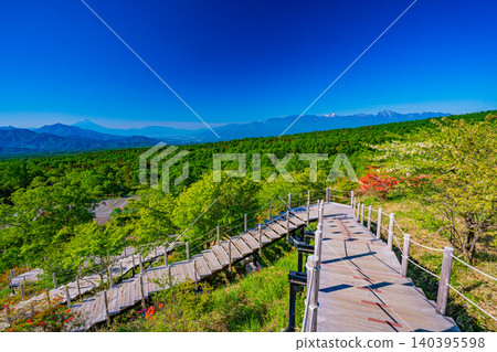 [Yamanashi Prefecture] Views of the Southern Alps and Mt. Fuji from Kiyosato and Utsukushimori, where azaleas are in bloom. 140395598