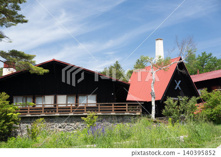 [Yamanashi Prefecture] Seisenryo, nestled amidst lush greenery with the Yatsugatake Mountains in the background, in early summer. 140395852