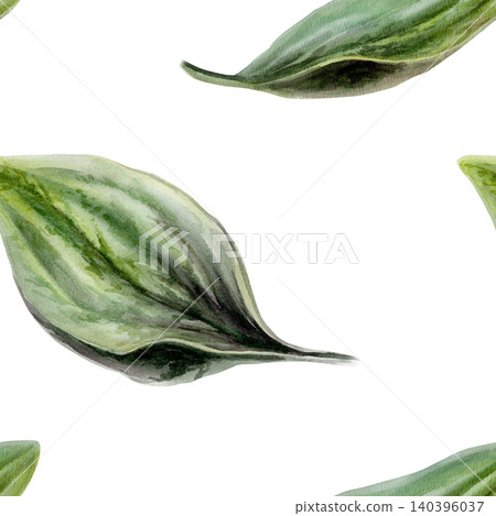 Plantain leaves seamless pattern watercolor illustration. Plantago foliage for organic clean beauty cosmetics packaging, natural vegan skincare branding, bio wellness textile print, herbal design Plantain leaves seamless pattern watercolor illustration. Plantago foliage for organic clean beauty cosmetics packaging, natural vegan skincare branding, bio wellness textile print, herbal design 140396037