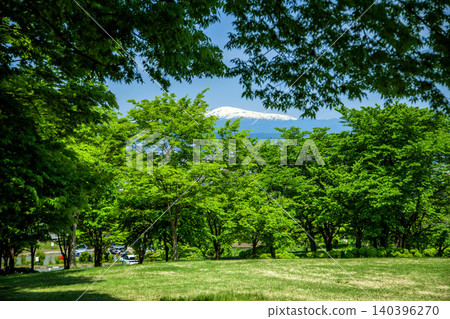 Spring hill 140396270