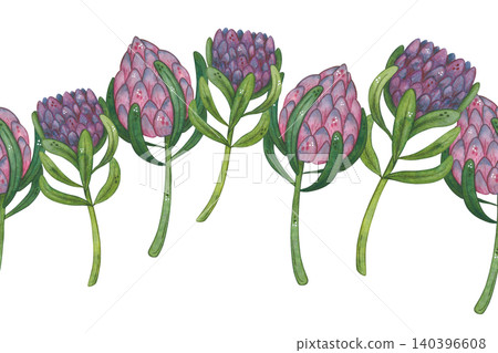 Seamless border of protea flowers, hand-drawn watercolor illustration, cartoon. Design for stickers, cards, scrapbooking. Plant, green, pink, flower, nature Seamless border of protea flowers, hand-drawn watercolor illustration, cartoon. Design for stickers, cards, scrapbooking. Plant, green, pink, flower, nature 140396608