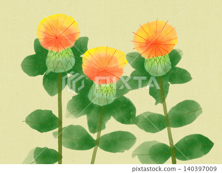 Hand-drawn flower illustration: Safflower Hand-drawn flower illustration: Safflower 140397009