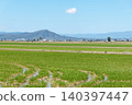 Ebro Delta flooded rice fields and Montsia range 140397447