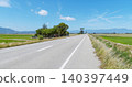 a road through the Ebro Delta rice fields, Spain 140397449