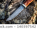 Damascus steel knife with wooden handle on tree stump. 140397542