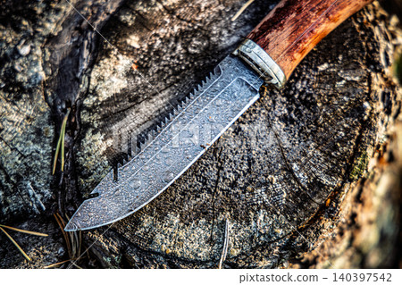 Damascus steel knife with wooden handle on tree stump. Damascus steel knife with wooden handle on tree stump. 140397542