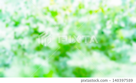 清新的綠色背景,樹葉圖像,模糊處理。 清新的綠色背景,樹葉圖像,模糊處理。 140397589
