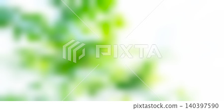 Natural green blur background, fresh green leaves, young leaves Natural green blur background, fresh green leaves, young leaves 140397590