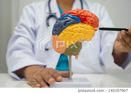 Alzheimer disease, Asian doctor holding brain anatomy model for study diagnosis and treatment in hospital. Alzheimer disease, Asian doctor holding brain anatomy model for study diagnosis and treatment in hospital. 140397907