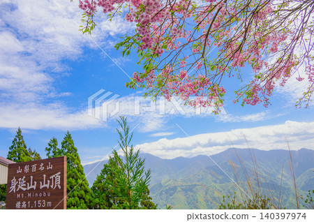 【富士山三十六景】身延山頂櫻花盛開【身延川，富士山後】 140397974