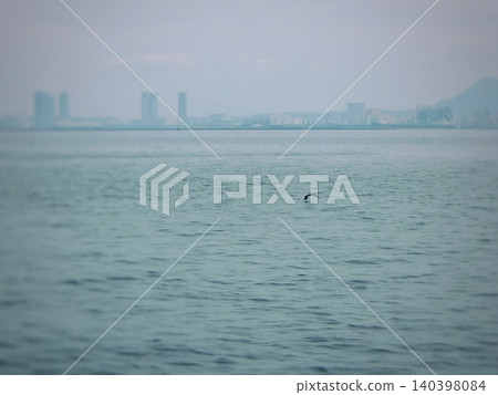 A single wild bird flies low over the vast ocean. 140398084