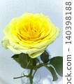 Yellow rose flower 03 140398188