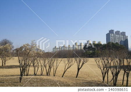 The lawn area of the Daejeon Government Complex Natural Garden The lawn area of the Daejeon Government Complex Natural Garden 140398631