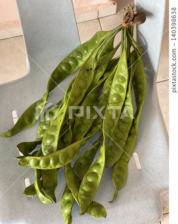 Fresh Stink Beans Petai Bundle Parkia Speciosa For Asian Cuisine Fresh Stink Beans Petai Bundle Parkia Speciosa For Asian Cuisine 140398638