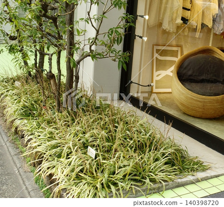 Implantation Implantation 140398720