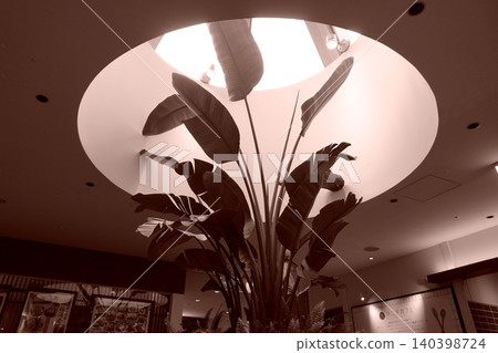 Ceiling light Ceiling light 140398724