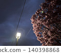 Night sky, cherry blossoms, and streetlights 140398868