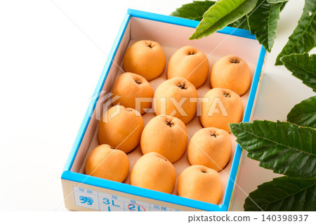 Box of 12 loquats, 2L size. Box of 12 loquats, 2L size. 140398937