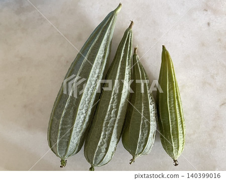 Fresh Green Ridged Gourds on White Surface Fresh Green Ridged Gourds on White Surface 140399016